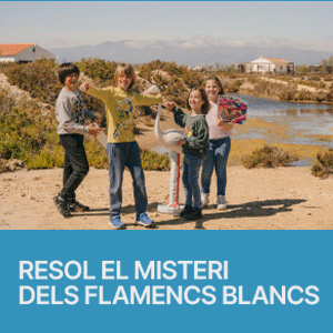 https://www.monnaturadelta.com/ca/visites-i-activitats/missio-flamenc/?utm_source=escapadaambnens&utm_medium=banner&utm_campaign=missioflamenc