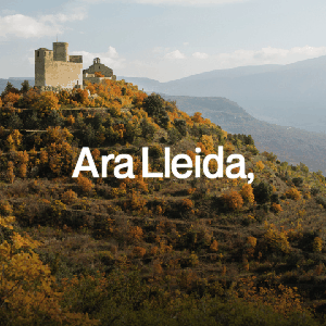 http://www.aralleida.cat/