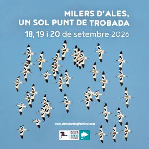 https://deltabirdingfestival.com/?utm_source=bannersescapadanens&utm_medium=banner&utm_campaign=dbf2026