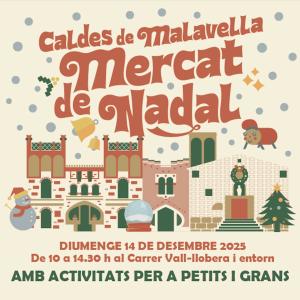https://www.visitcaldes.cat/activitat/mercat-de-nadal-6/