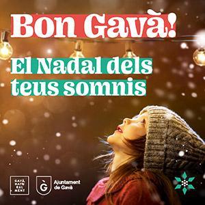https://www.gavaciutat.cat/ciutat/cultura/cicle-festiu/sant-nicasi-nadal-i-reis