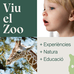https://www.zoobarcelona.cat/?utm_source=digital&utm_medium=banner_300x300&utm_campaign=viuelzoo&utm_id=estiu2024&utm_content=escapada-amb-nens