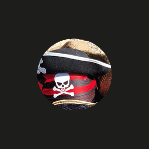 https://www.monnaturadelta.com/ca/visites-i-activitats/missio-pirata/?utm_source=escapadaambnens&utm_medium=banner&utm_campaign=missiopirata