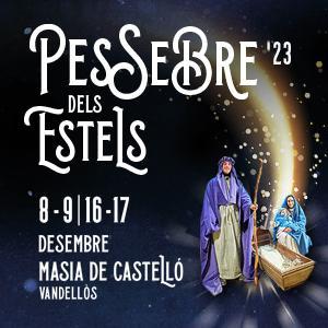 https://www.masiacastello.cat/