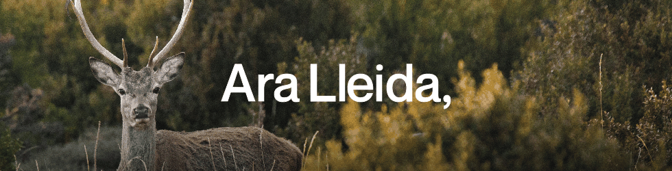 http://www.aralleida.cat/