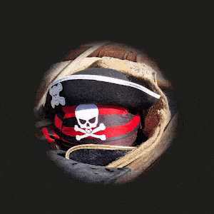https://www.monnaturadelta.com/ca/visites-i-activitats/missio-pirata/?utm_source=escapadaambnens&utm_medium=banner&utm_campaign=missiopirata