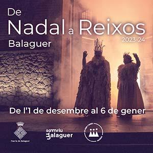 https://www.balaguer.cat/agenda/