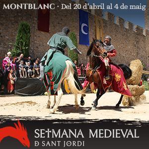 https://www.setmanamedieval.cat/
