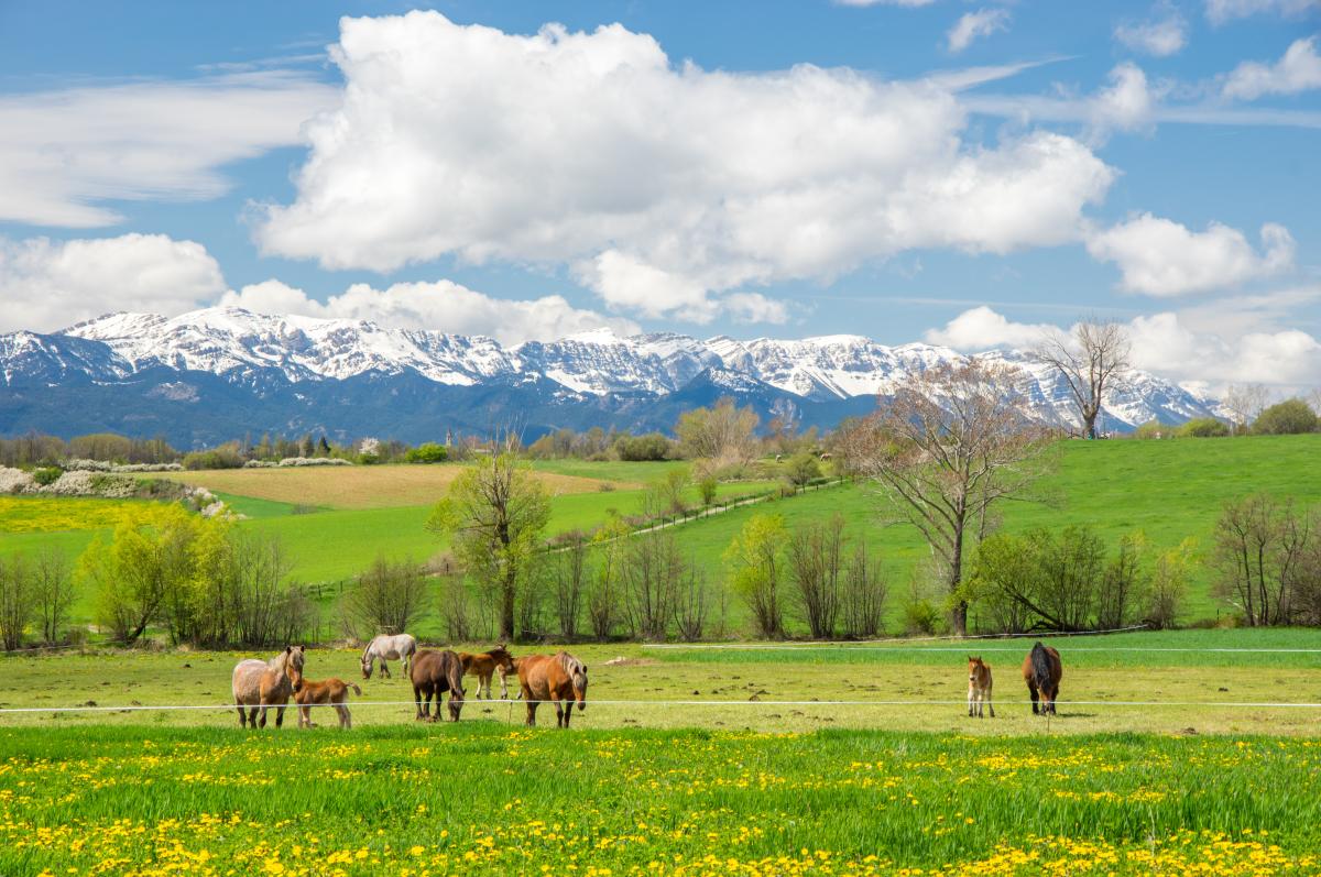 Una escapada a l’alta muntanya