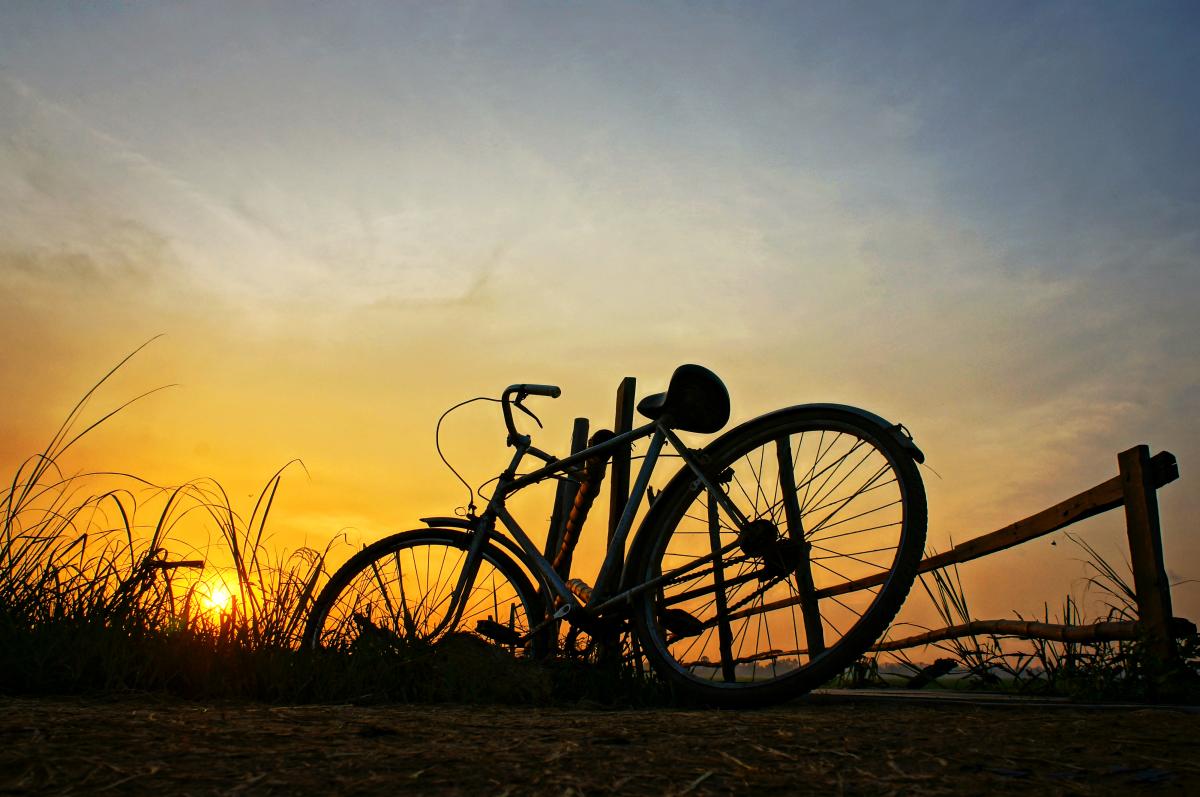 En bicicleta por los campos floridos de cerezos