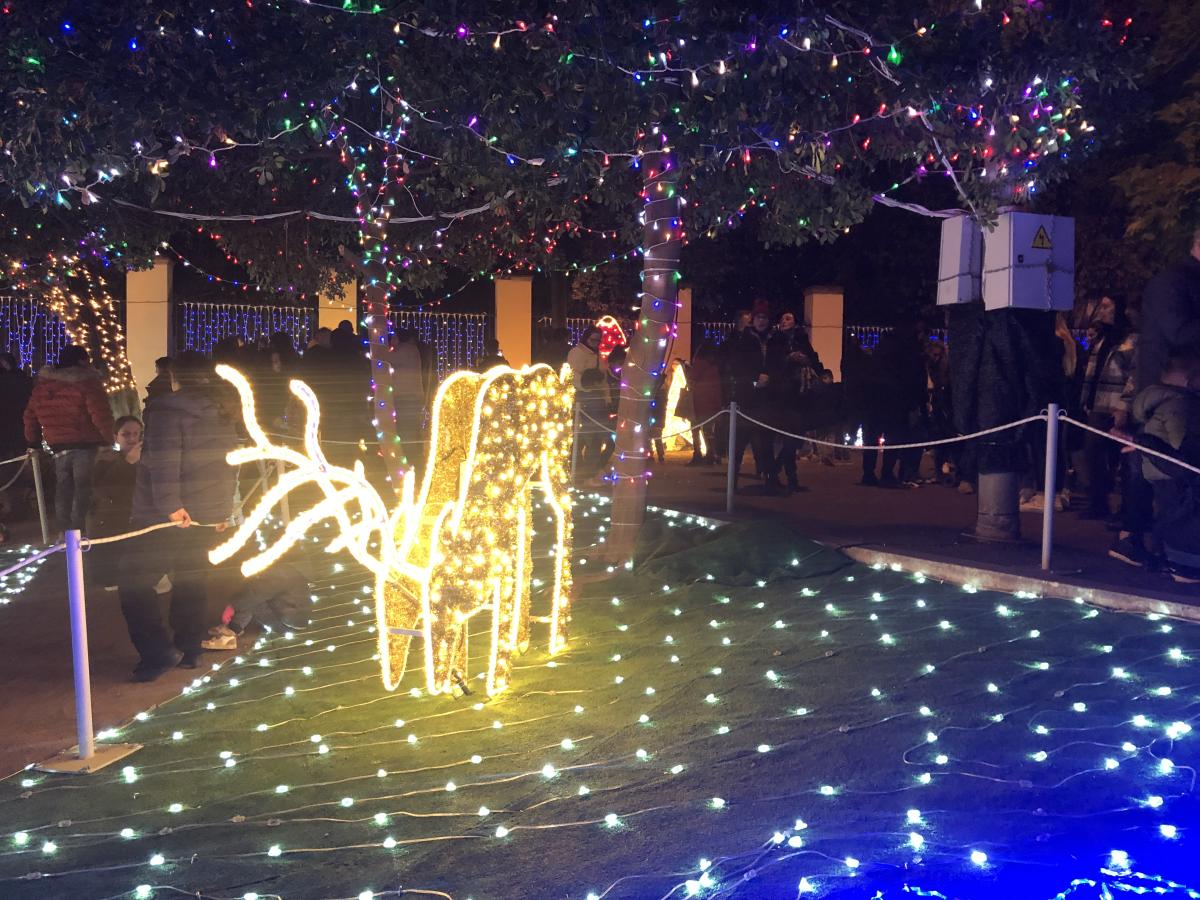 El Bosc Encantat 2025