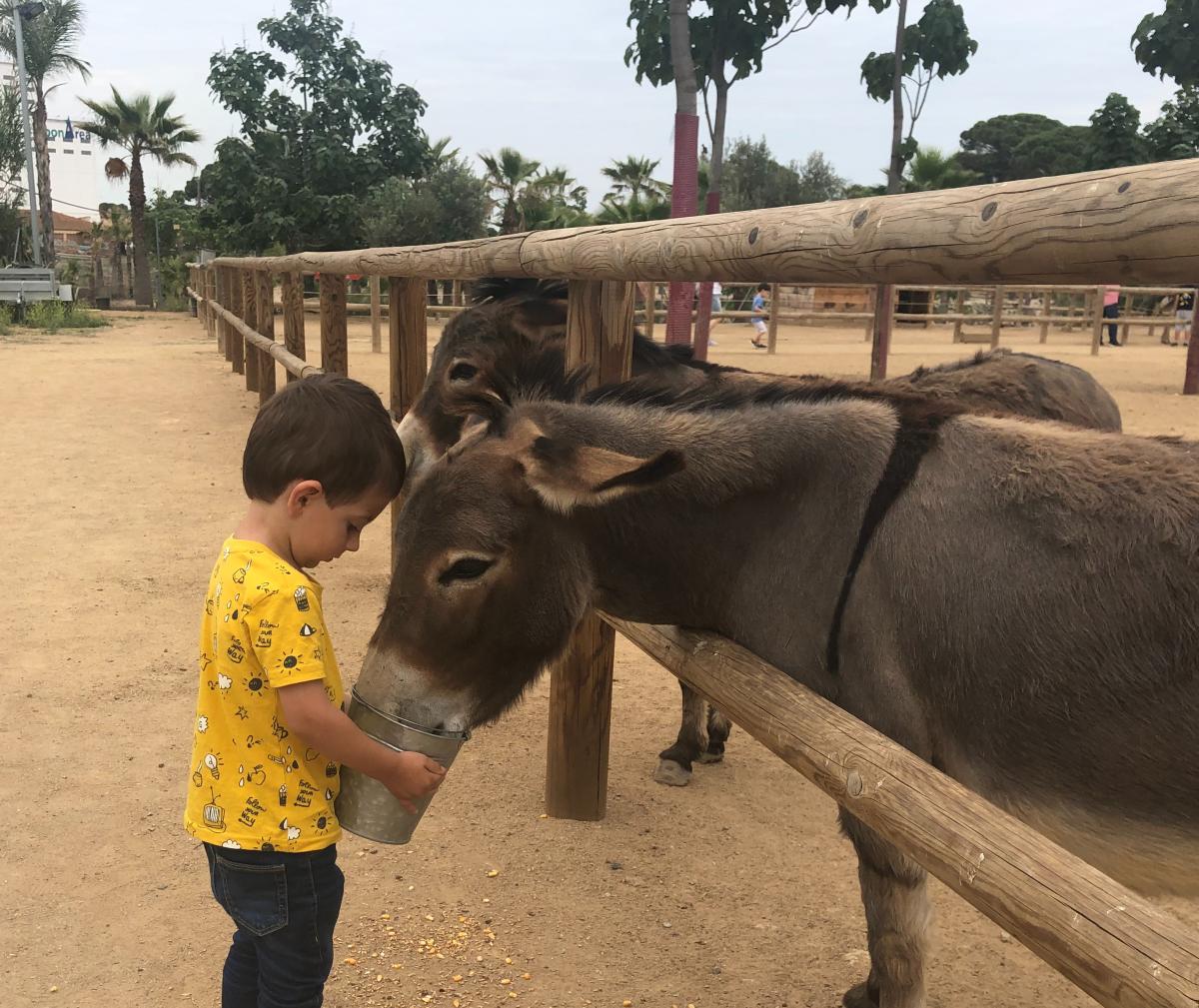 Cuadrante medio átomo ▷ Aventuras con animales en Tarragona con niños - Escapada con niños