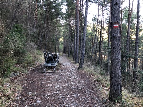 La Via del Nicolau i el pont penjant, al Berguedà