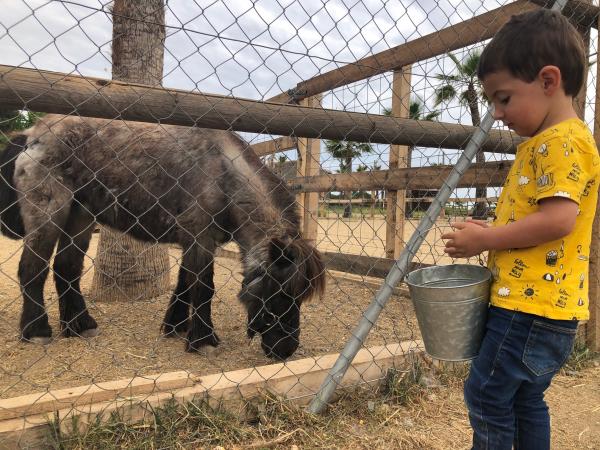 La mascota i el jardí | Foto: ESCAPADAAMBNENS | Foto: ESCAPADAAMBNENS | Foto: ESCAPADAAMBNENS