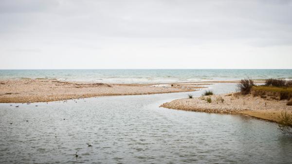 Ruta por la desembocadura del río Foix Con niños