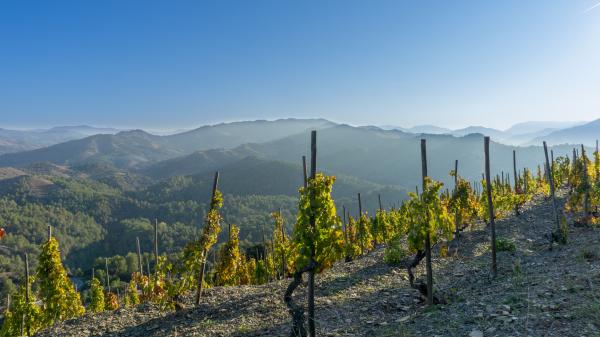 Priorat