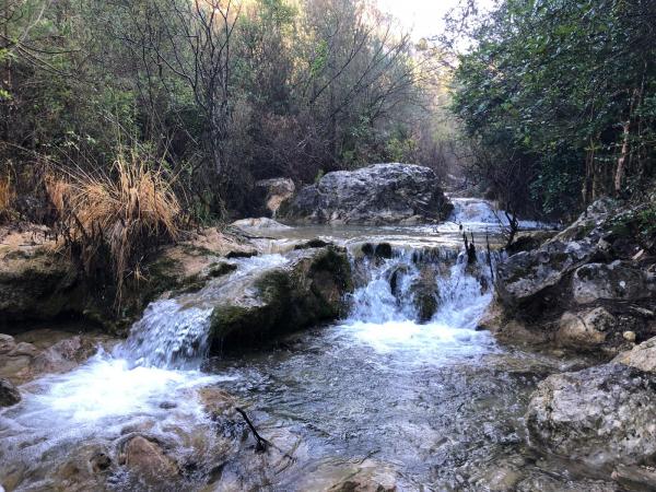 Font de la Llúdriga amb nens