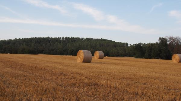 Gavet de la Conca