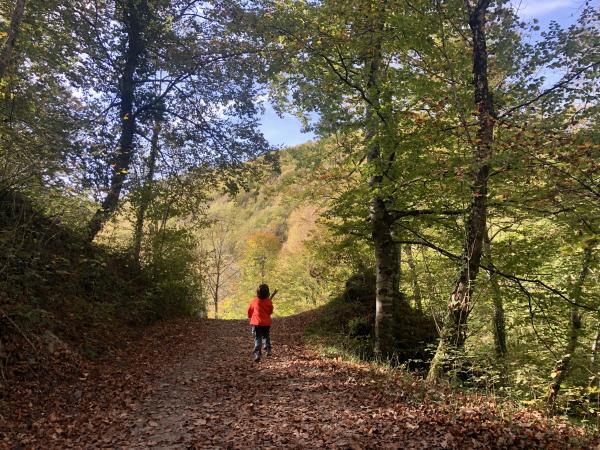 La Fageda de la Grevolosa amb nens