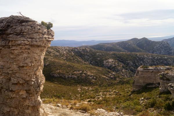 Ruta Mas d'en Barro | Ruta Mas d'en Barro, Mas de Barberans. Foto: shutterstock.com