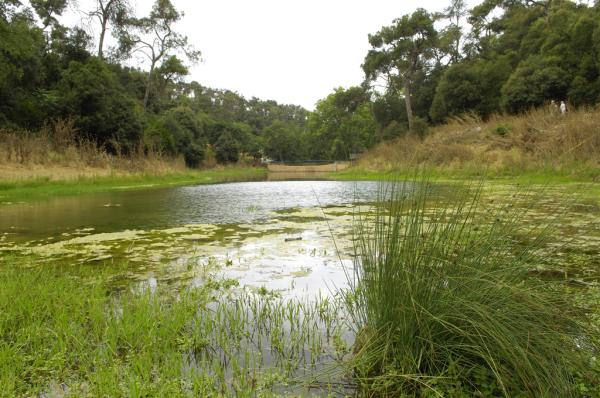 Excursió al Pantà de Vallvidrera