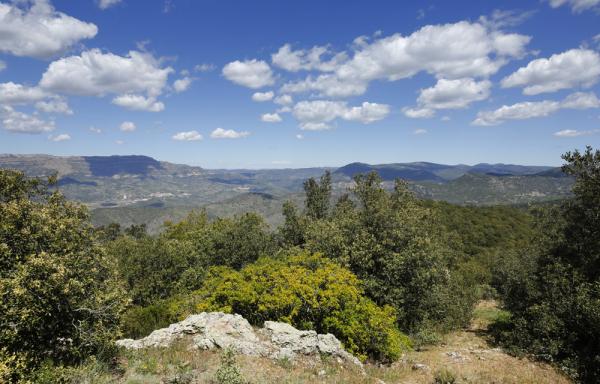 Mirador d'Alforja amb nens