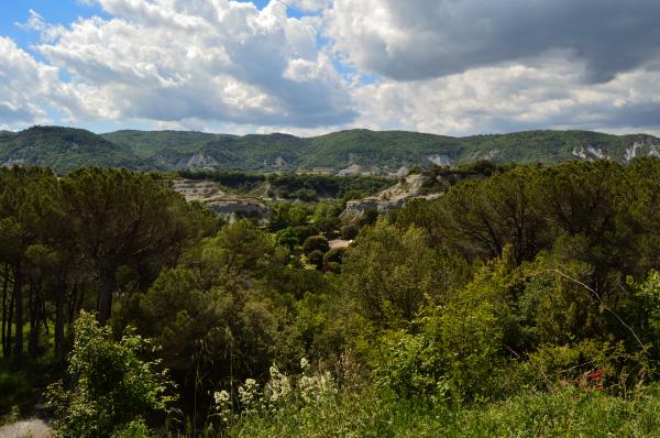 Bosc de Casanovas amb nens