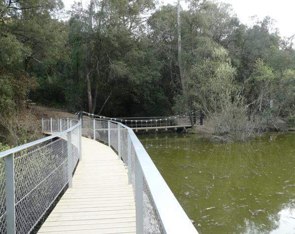 Ruta al Pantano de Can Borrell Con niños