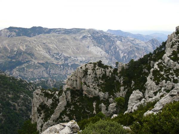 Excursió a la Barcina