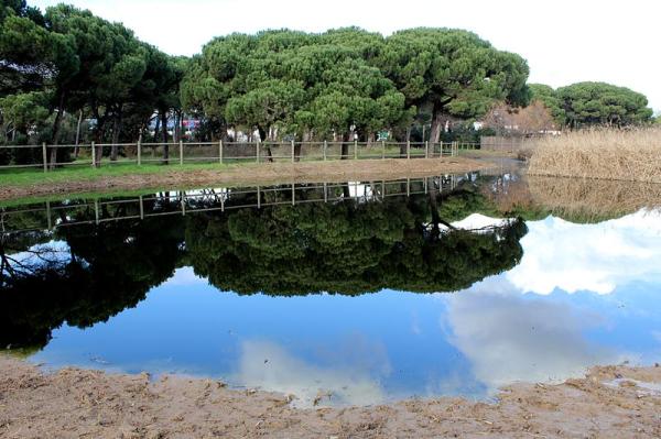 Aiguamolls de Can Cabanyes amb nens