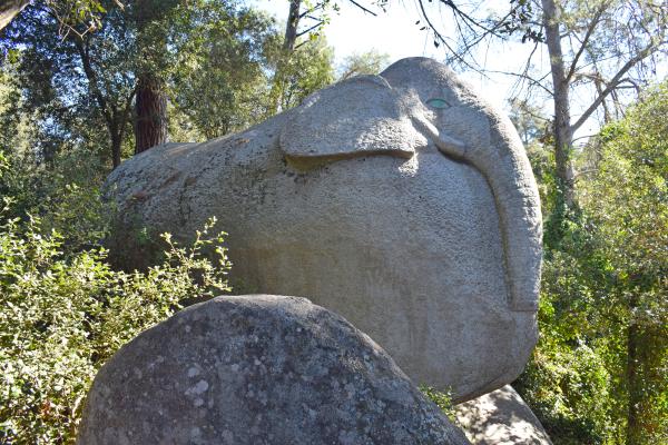 El bosc encantat d'Òrrius amb nens