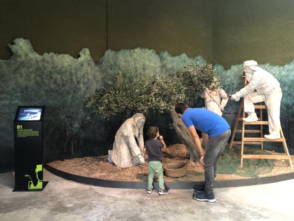 Centro Interpretación del aceite Con niños