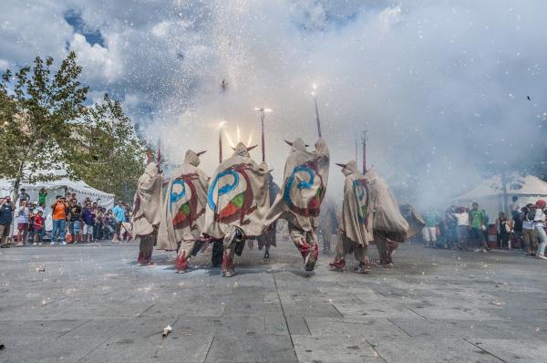 Festa Major de Sant Jaume d'Enveja 2025
