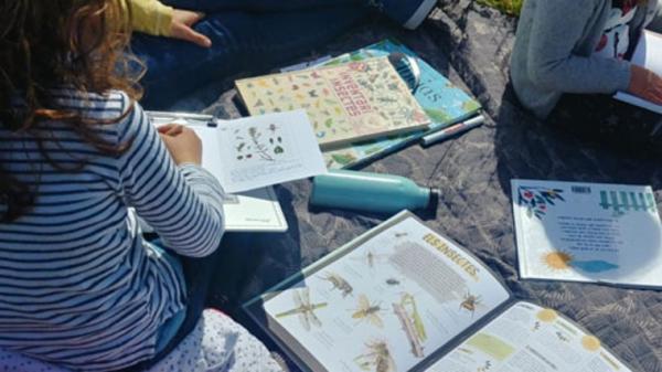 El jardí Botànic de Barcelona i els dies amb l'entrada gratuïta | www.ajuntament.barcelona.cat