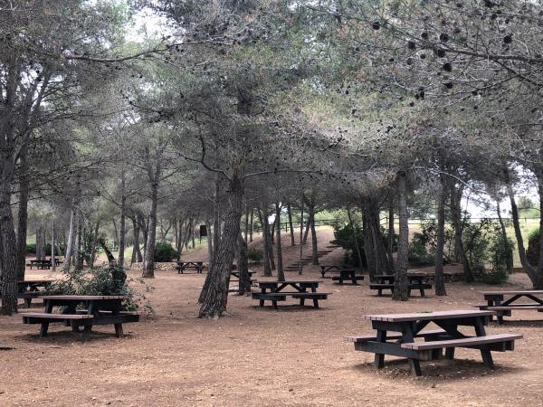 Àrea de lleure Fondo del Mata | Àrea de lleure Fondo del Mata, El Vendrell. Foto: ESCAPADAAMBNENS.COM | Àrea de lleure Fondo del Mata, El Vendrell. Foto: ESCAPADAAMBNENS.COM