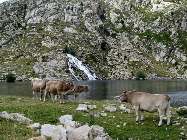 El camino de Sallente al Estany Gento, en la Vall Fosca Con niños