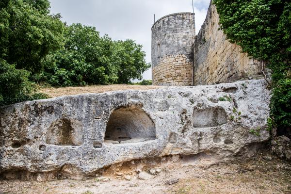 Vestigis, el joc d'Olèrdola, inspirat en còmics sobre la història del poble | Imatge del Castell d'Olèrdola.