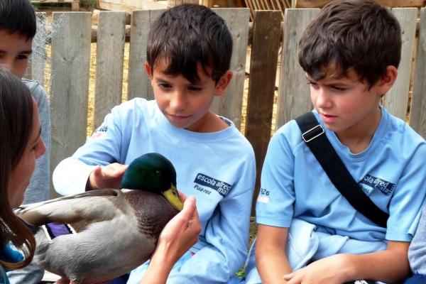 Zoo del Pirineu amb nens