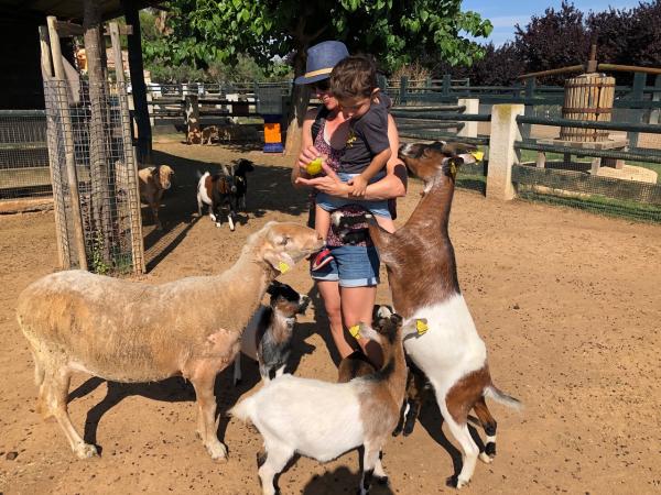 Día de granja Con niños