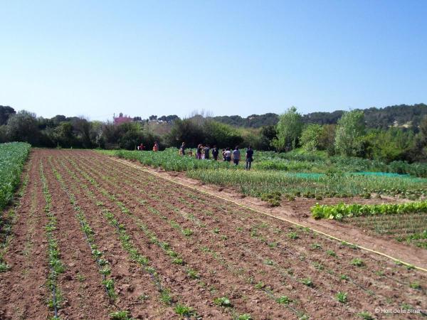 Hort de la Sínia | Hort de la Sínia. Foto: TARRAGONATURISME.CAT | Hort de la Sínia. Foto: TARRAGONATURISME.CAT