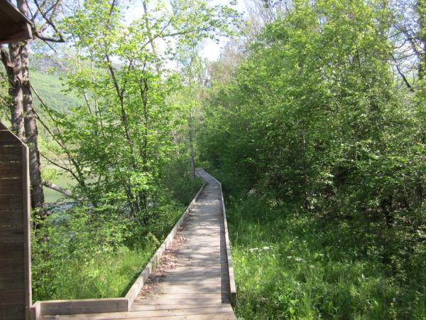 Salencar de Llesp, un paseo por hacer con prismáticos, en El Pont de Suert | Oriol Faidella - wikiloc