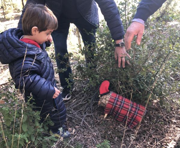 Caçations: anem a buscar el tió de Nadal al bosc amb nens