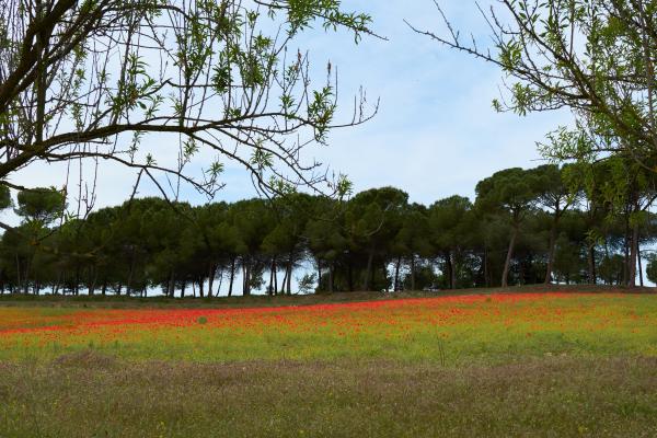 Un passeig pels Gallecs Con niños