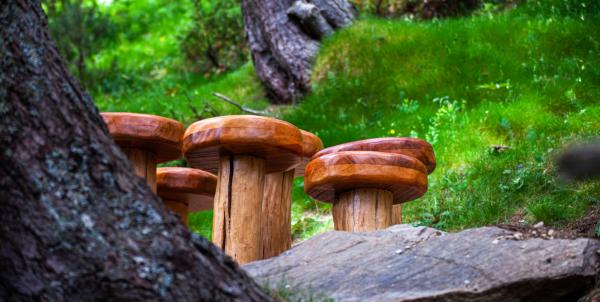 On són els bolets d’Andorra? Una excursió amb bolets gegants