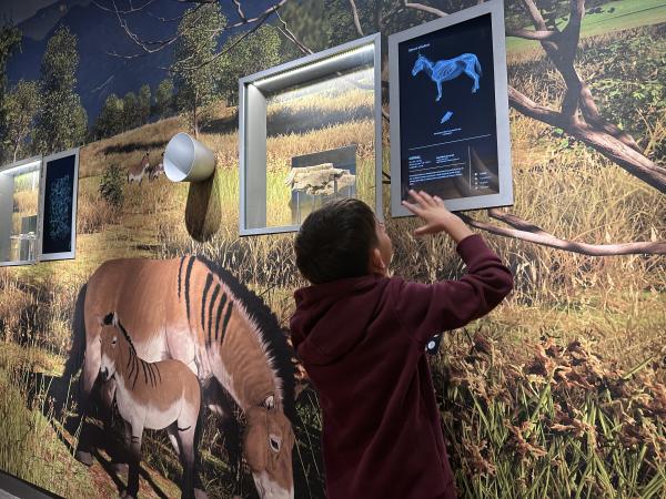 <span>5</span> El espacio de divulgación científica más importante de la Costa Daurada | Foto: ESCAPADAAMBNENS