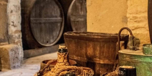 Visita guiada a la casa del vino del Bages