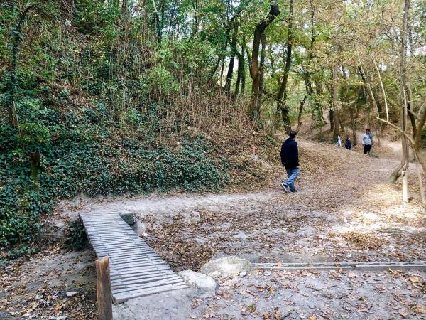 Una excursión para volar la imaginación