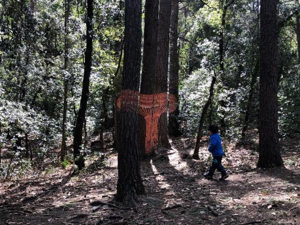 Un día en Vimbodí y Poblet con niños