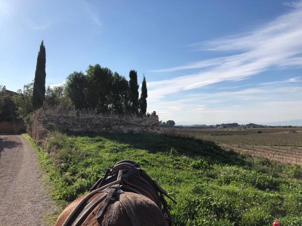 La Ruta de los Taninos, en carro | Paseo en carro, Nulles. Foto: ESCAPADAAMBNENS.COM