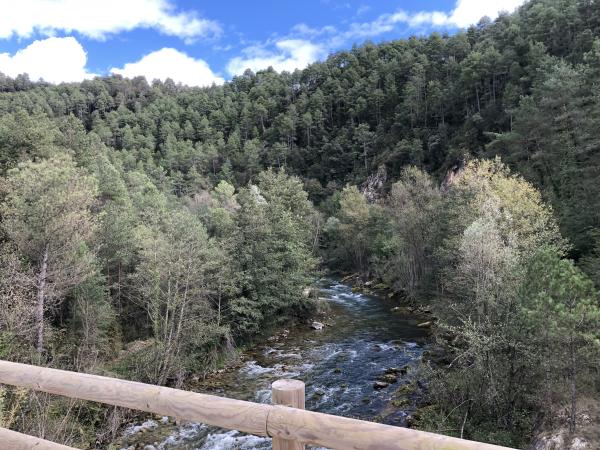 La Via Verda del Llobregat, a Cercs